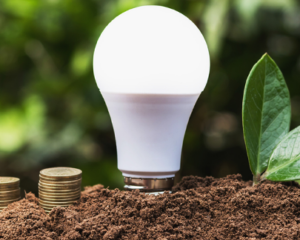 consumo_consciente_lampada_led